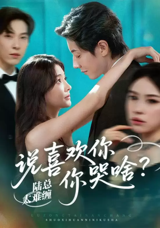 Lu Zong Tai Nan Chan, Shuo Xi Huan Ni Ni Ku Shen Me?