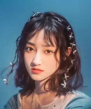 Li Hai Shan